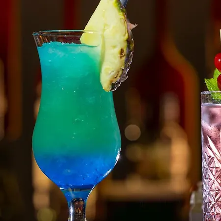 Hotel Plaza Premium Darmstadt 4*