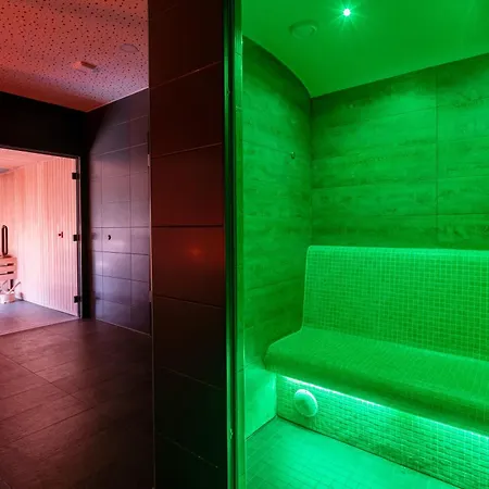 Plaza Premium 4* ダルムシュタット