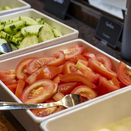 Hotel Plaza Premium Darmstadt 4*